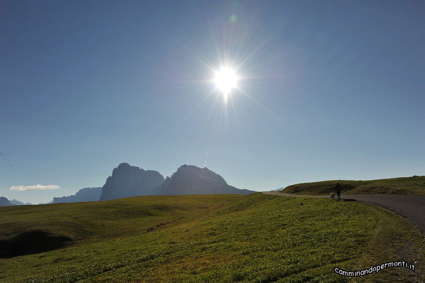 009 Alpe di Siusi - Sasso Lungo e Sasso Piatto.JPG